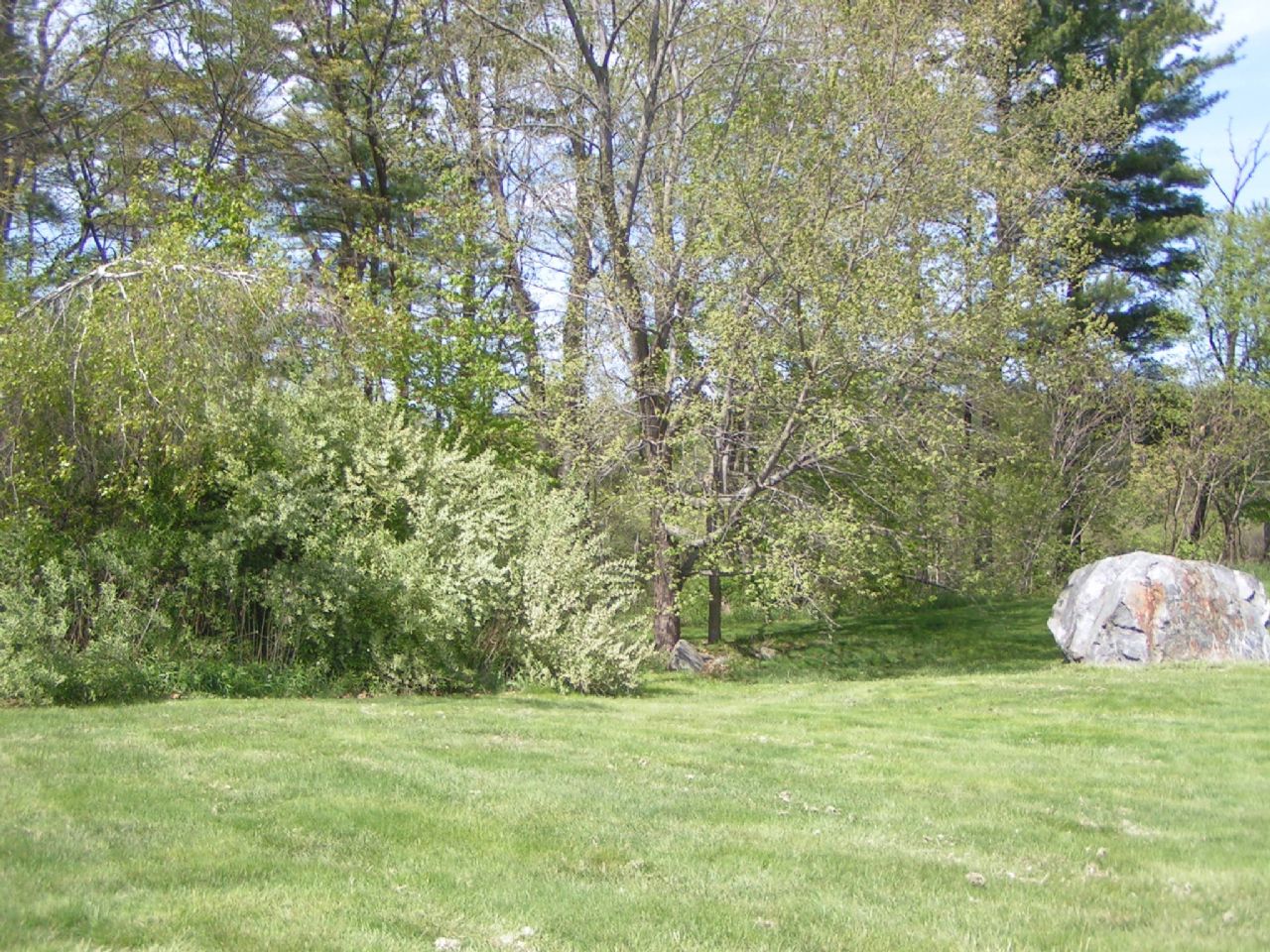 side yard, pets allowed